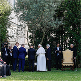 Under olive tree planted as sign of peace, pope begs God to help Holy Land